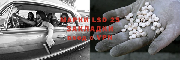 ПСИЛОЦИБИНОВЫЕ ГРИБЫ Алзамай