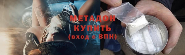 шишки Новодвинск