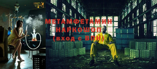 шишки Новодвинск