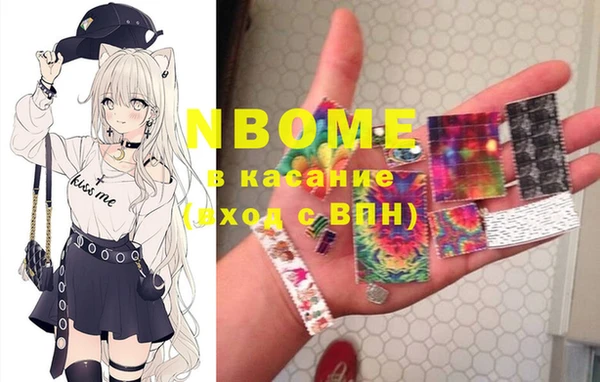 шишки Новодвинск