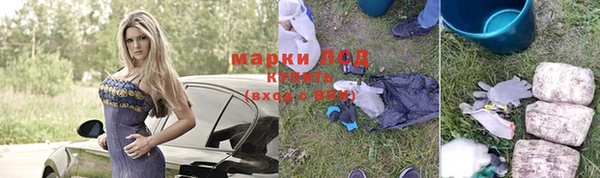 шишки Новодвинск