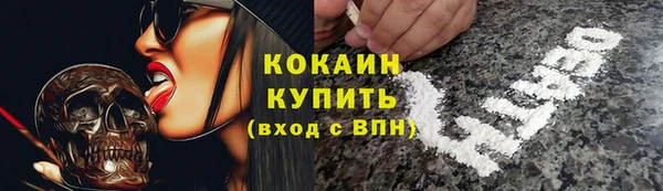 ПСИЛОЦИБИНОВЫЕ ГРИБЫ Алзамай