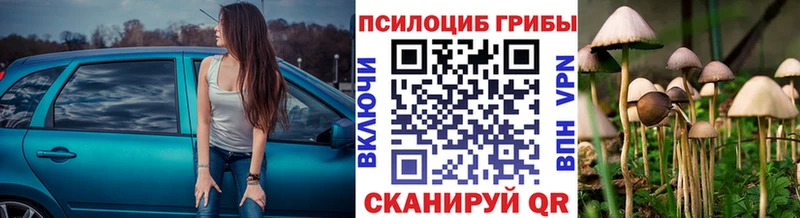 Псилоцибиновые грибы прущие грибы  Юрьевец 